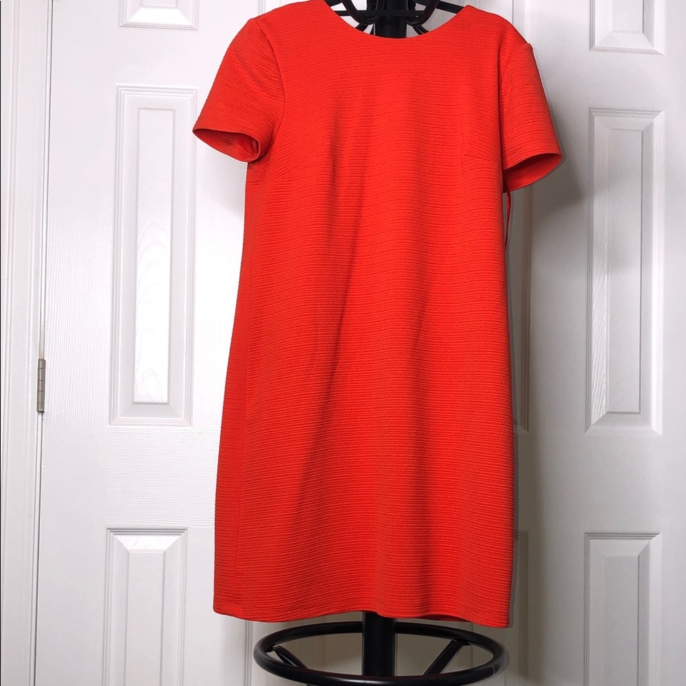Maggy London Fiery Orange Midi Dress, Size 8